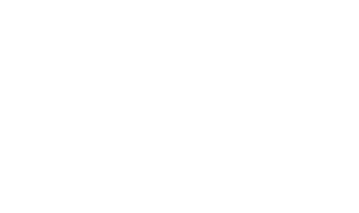 Chelsea Parkfields logo